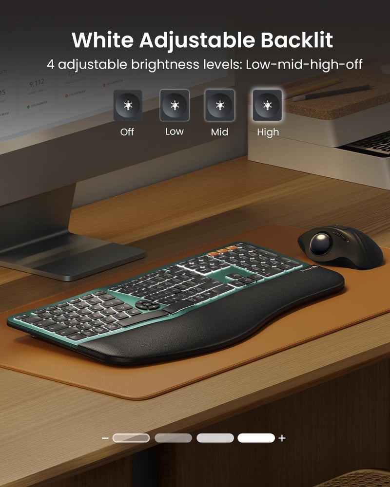 ProtoArc Backlit Bluetooth Ergonomic Keyboard, EK01 Plus Full Size Wireless Split Keyboard with Dual Bluetooth and USB, Cushioned Wrist Rest, Rechargeable, Compatible with Windows/Mac/Android, Green - Image 3
